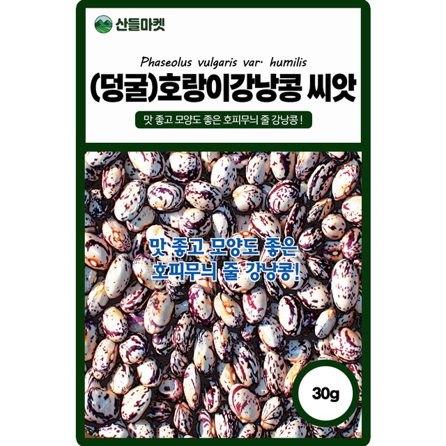 주식회사 호랑이 이미지