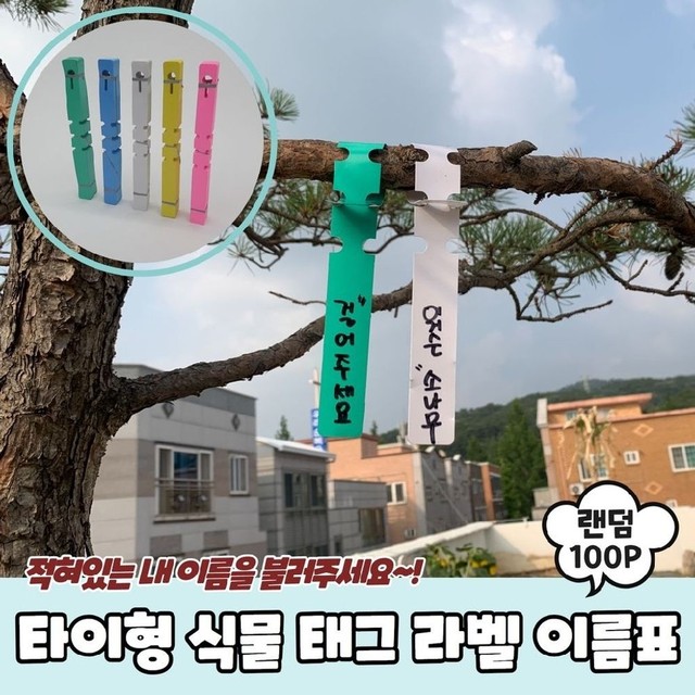 식물A 이미지