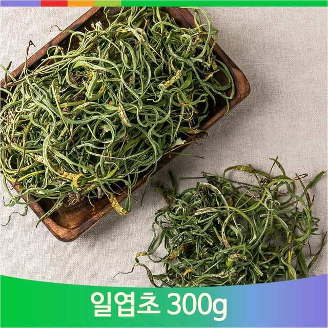 약초 이미지