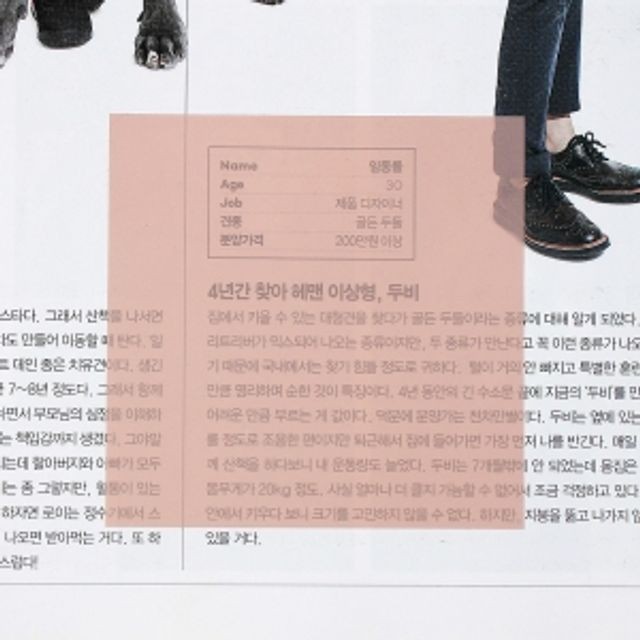 (주)트리필름 이미지