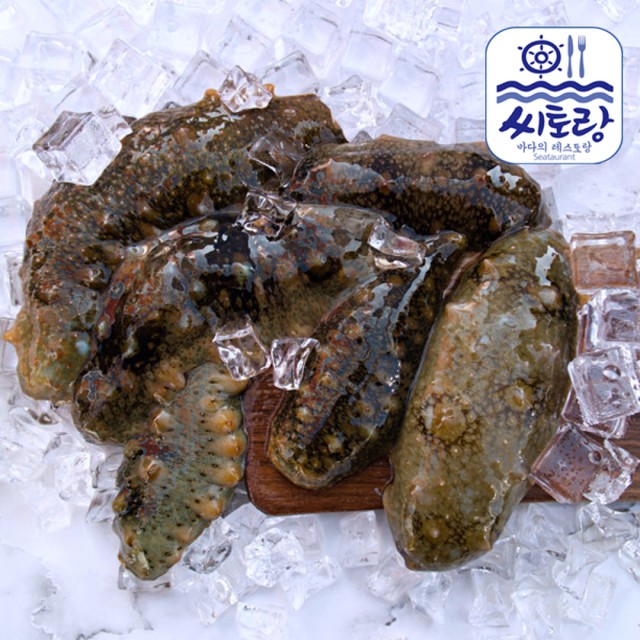 (주)진정성 이미지