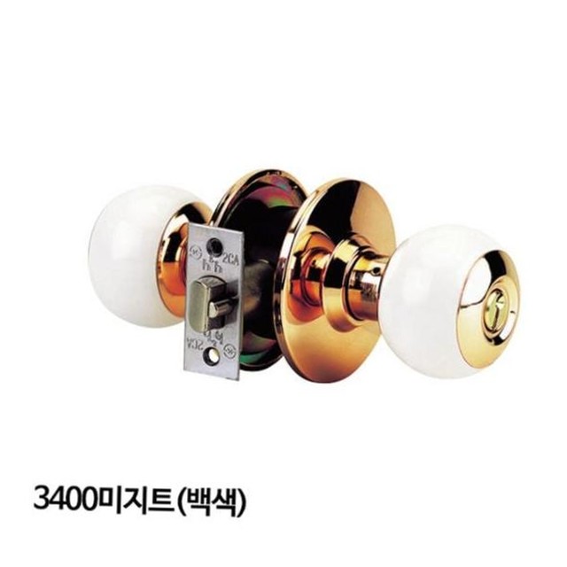 미지트 이미지