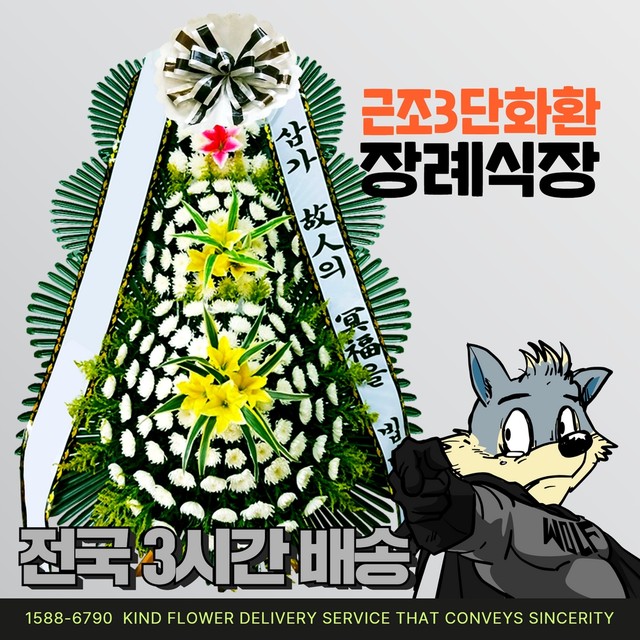 완주꽃배달써비스 이미지