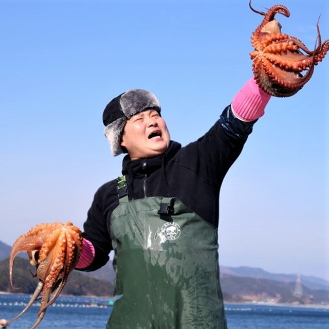 통영유통 이미지