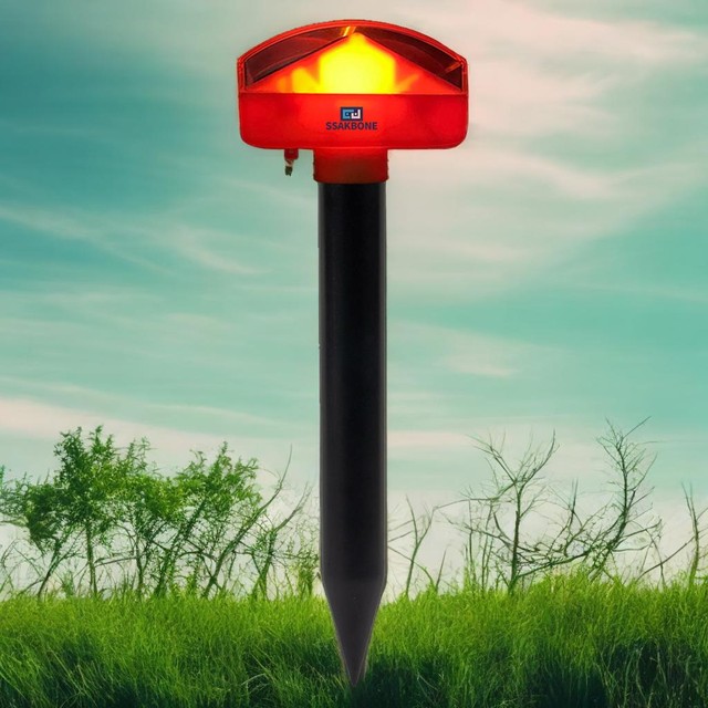 더본커머스 이미지