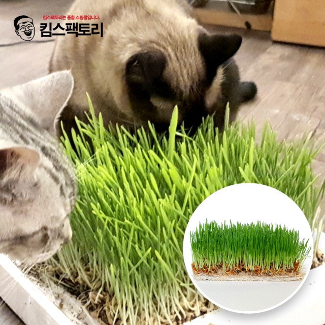 킴스팩토리 이미지