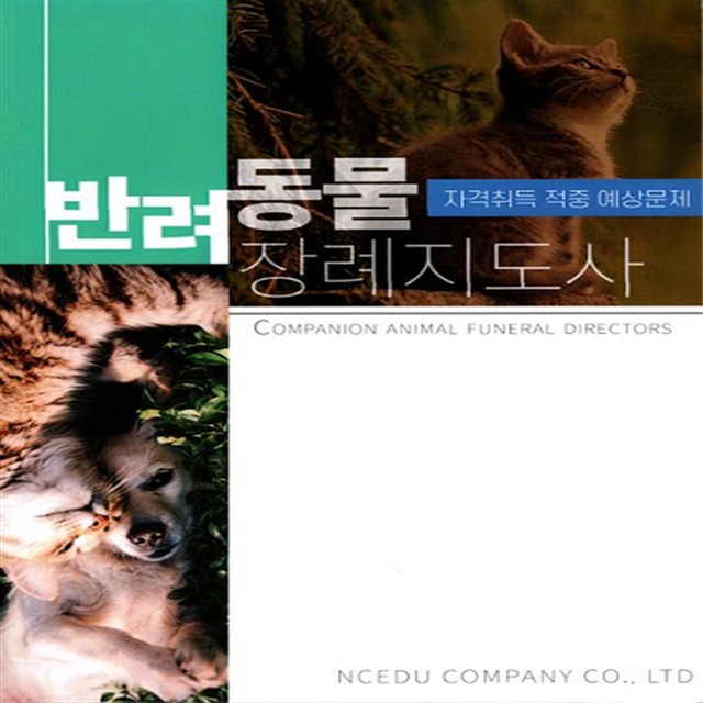 앤씨애듀 이미지