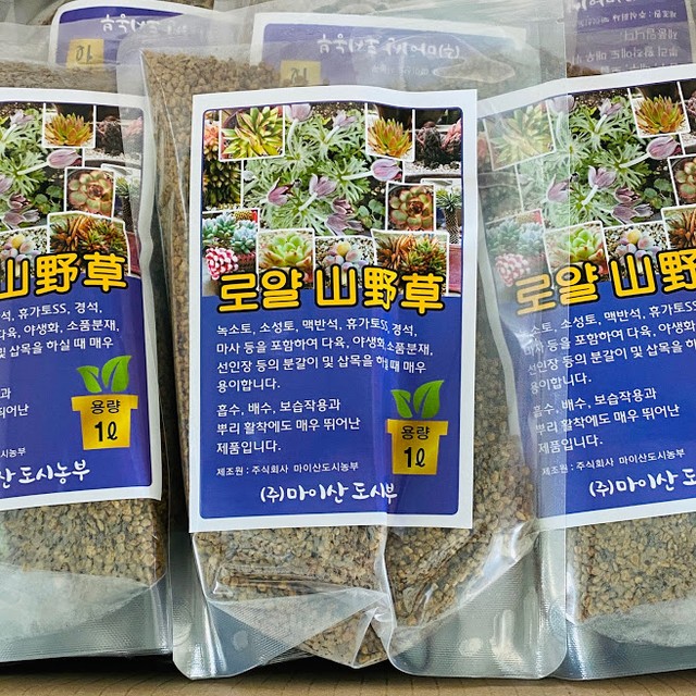 로얄식스 이미지