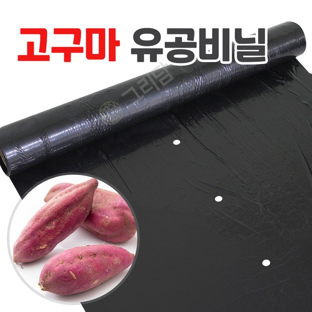 그리담 이미지
