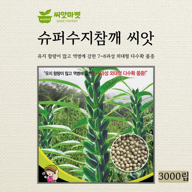 진미슈퍼 이미지