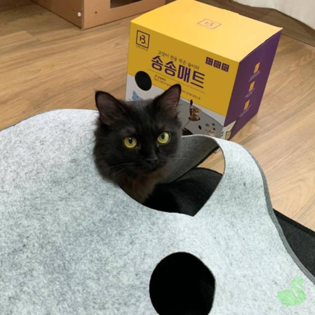 송송몰 이미지