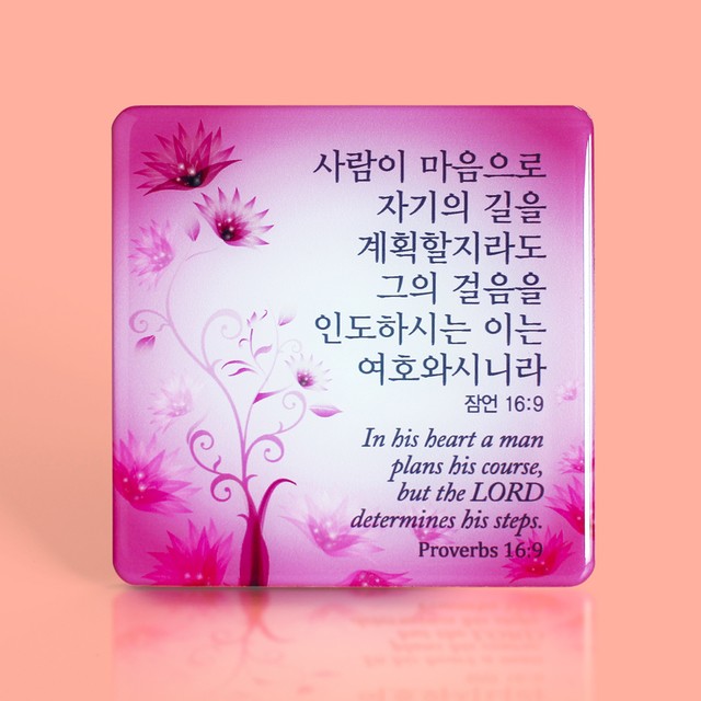 피드 이미지