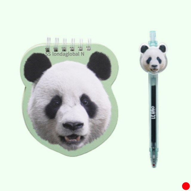 오로라에버 이미지