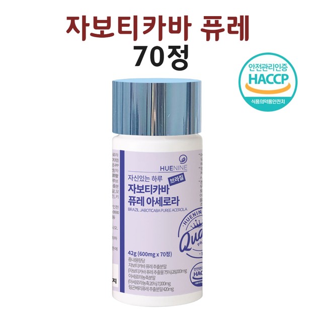 거북이 몰 이미지