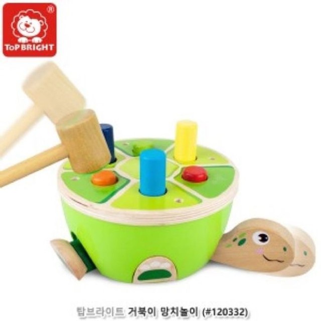 튼튼한거북이 이미지