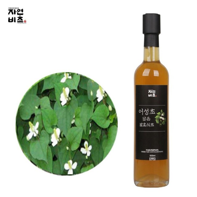 (주)들산초 이미지