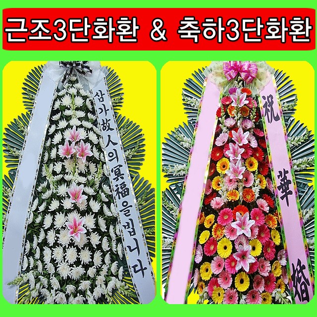 메리놀병원장례식장 이미지