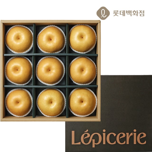대향 이미지