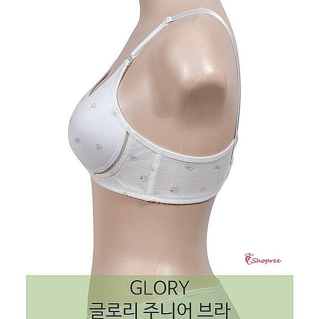 프리브라 이미지