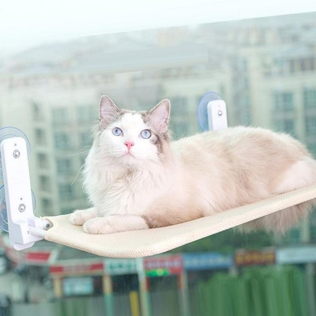 다올에이치 이미지