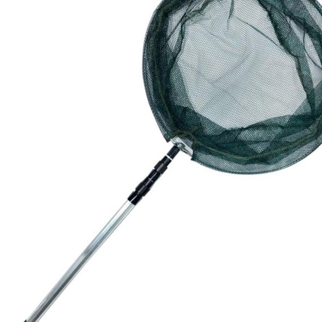 에스엘피 이미지