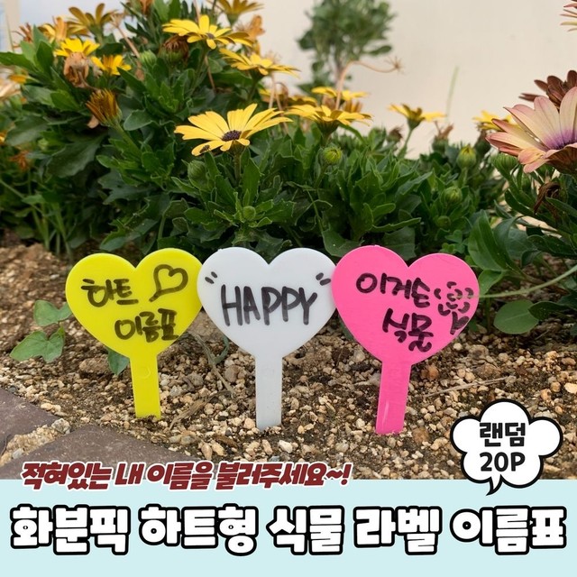 식물A 이미지