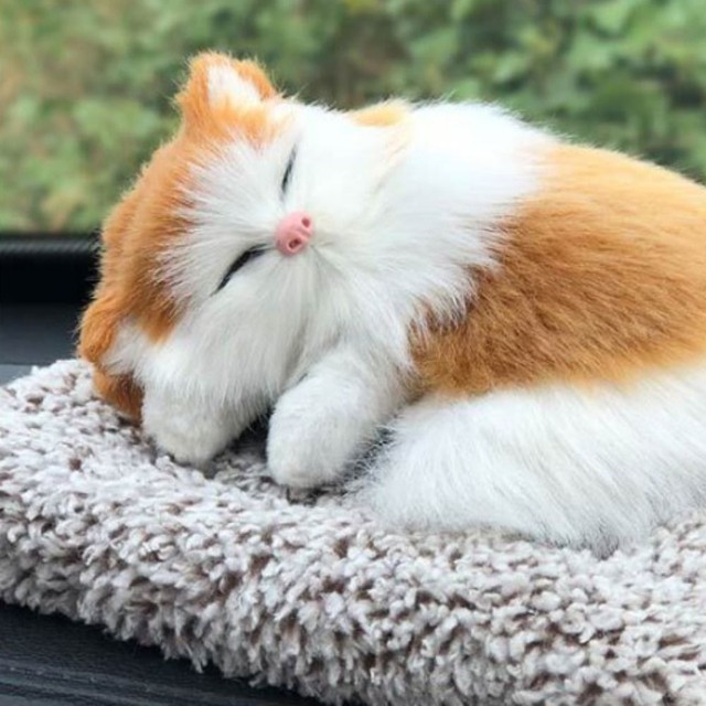 숯 이미지