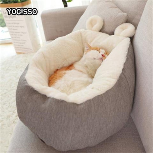 요기쏘 이미지