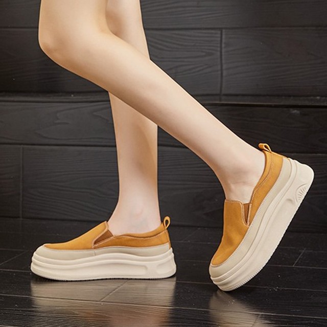담트 이미지