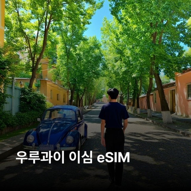 (주)뜨거운청춘 이미지