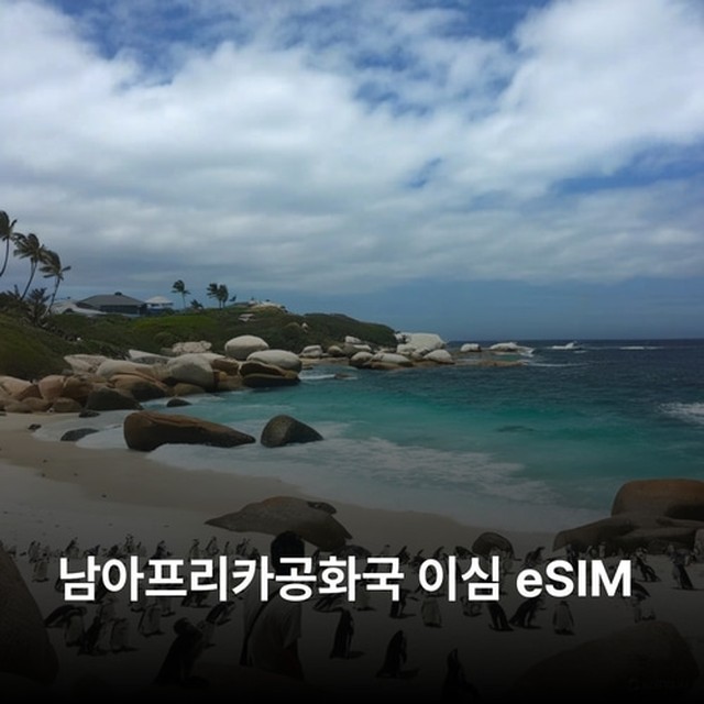 (주)뜨거운청춘 이미지