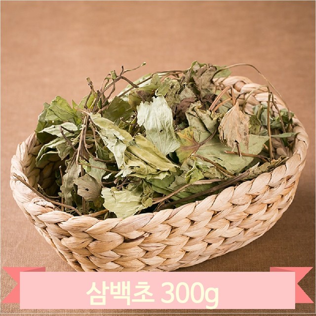 약초 이미지