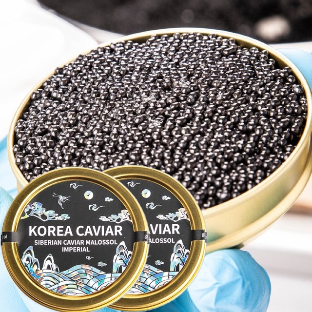 함양군 철갑상어 영어조합 이미지