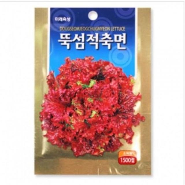 씨앗 이미지