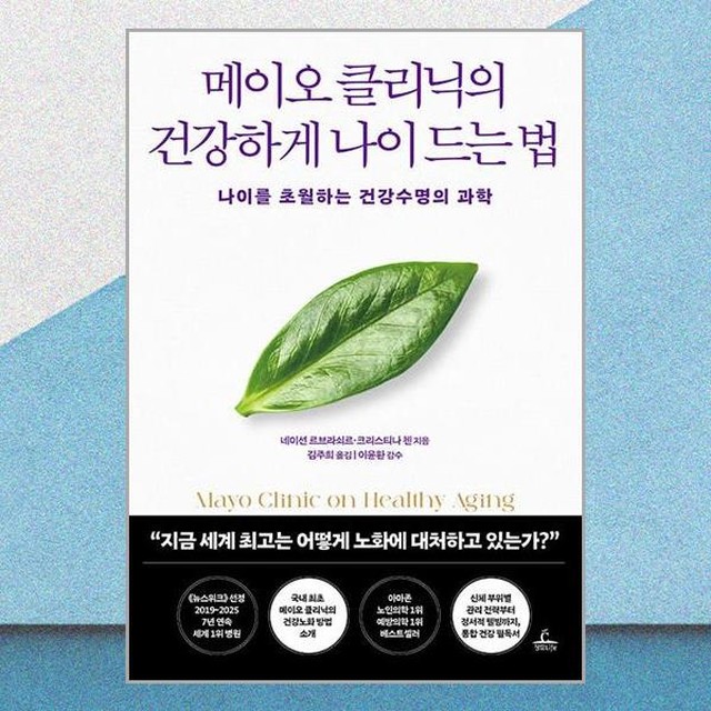 메이오 이미지
