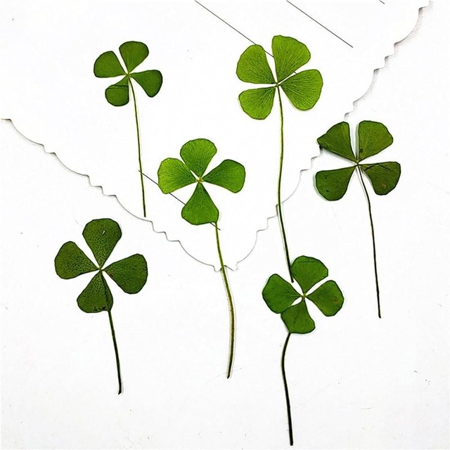 (주)네잎 이미지