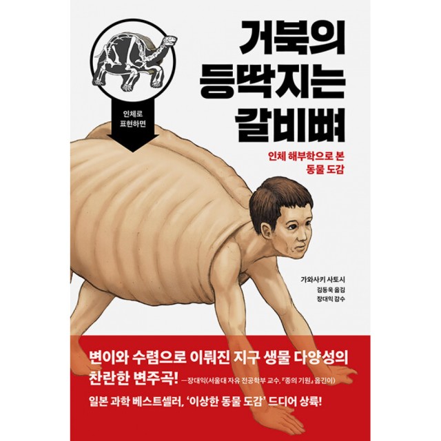 등딱지 이미지