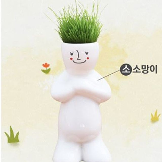 정원플랜트 이미지