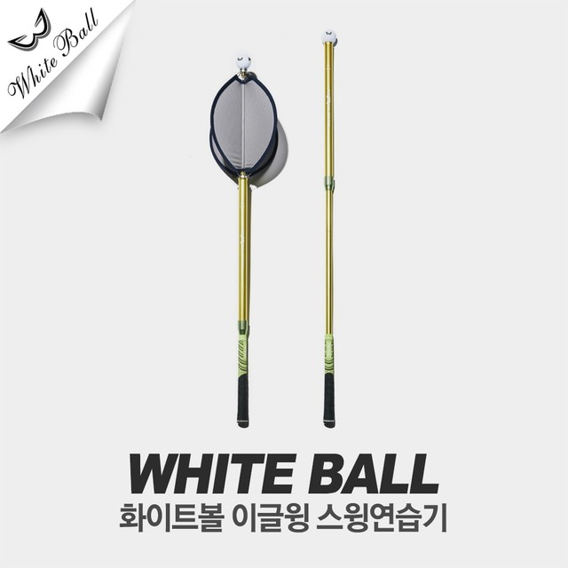 디지지에스 이미지