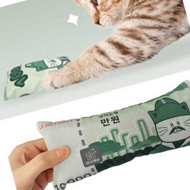 야옹이몰 이미지
