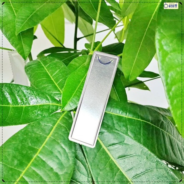 나무카페화원 이미지