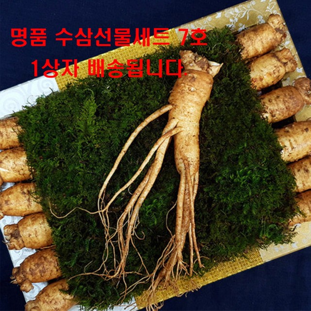 주)한국산삼공사 이미지
