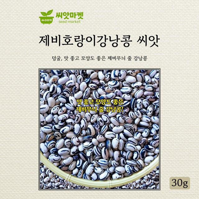 주식회사 호랑이 이미지