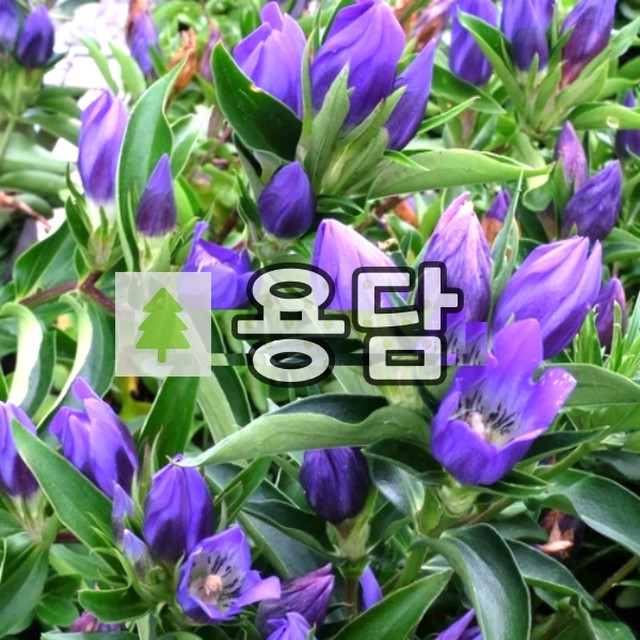 블루농원 이미지