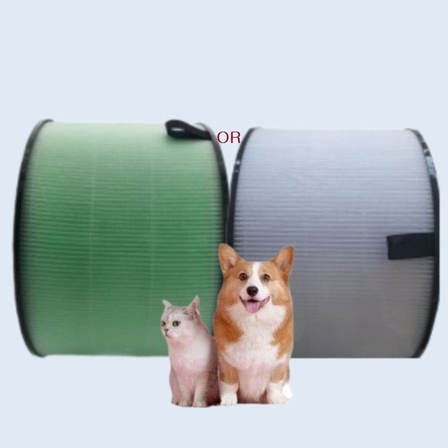 필DNP 이미지
