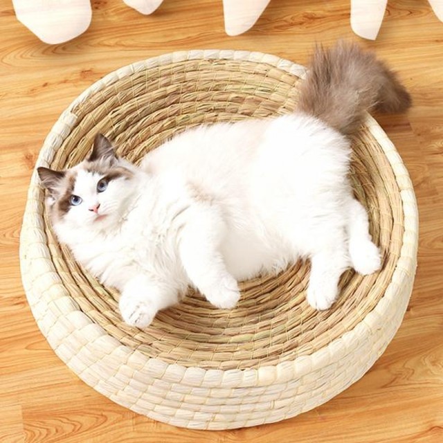 포스트레이딩 이미지