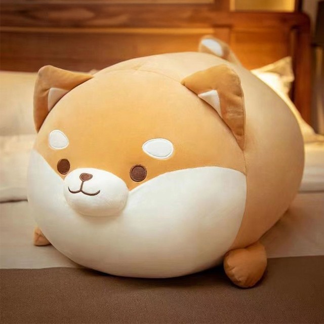 조이굿 이미지