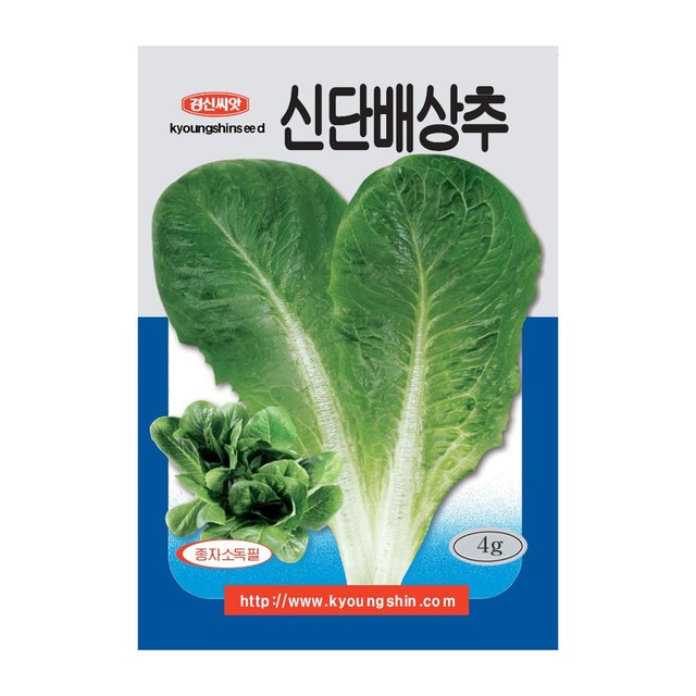 씨앗 이미지