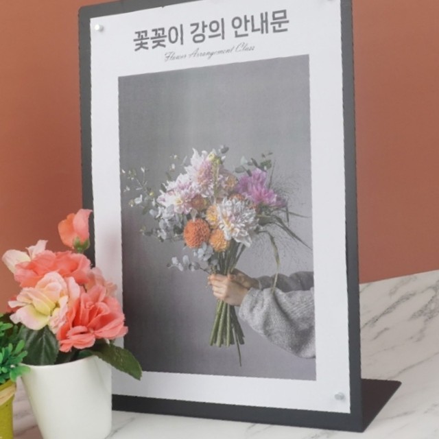 스틸콩 이미지