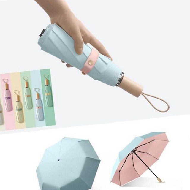 조영 이미지